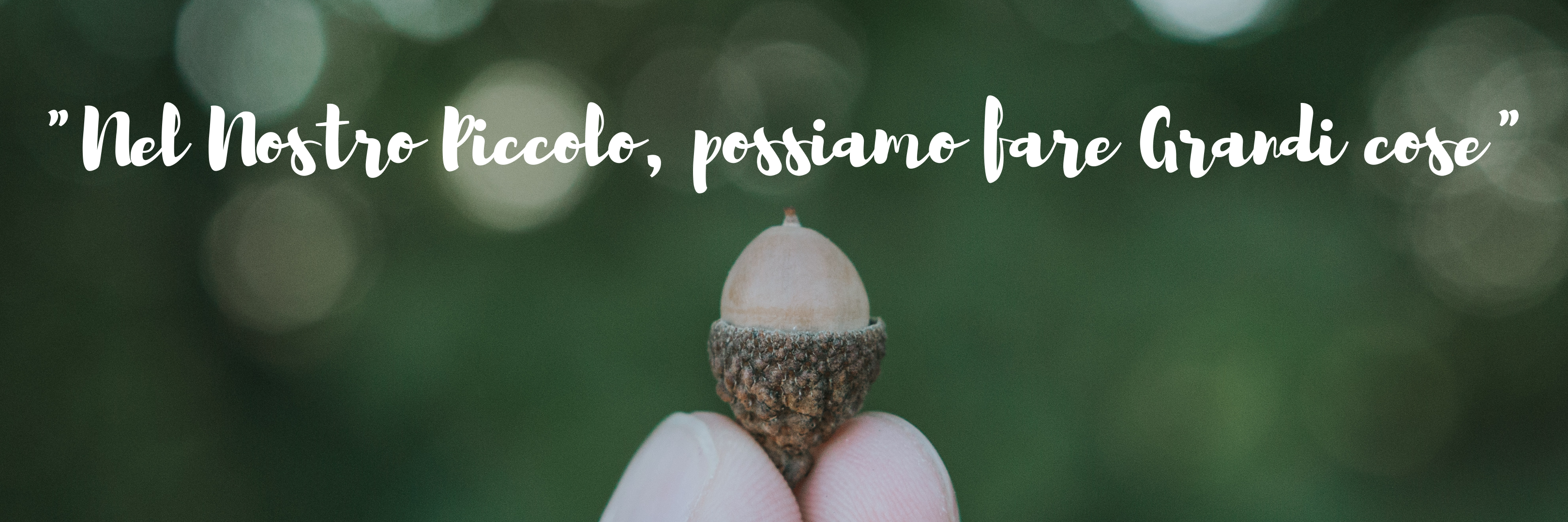 _Nel Nostro Piccolo, possiamo fare Grandi cose_ (9)