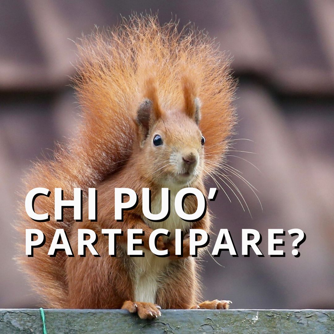 SCOIATTOLI
